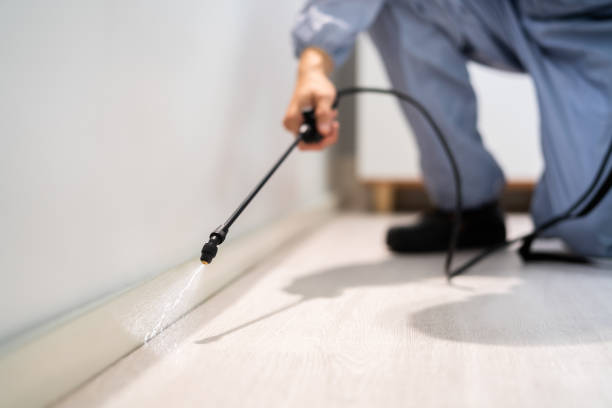 Licensed Pest Control service in Asheville, NC - Show Me Pest Control