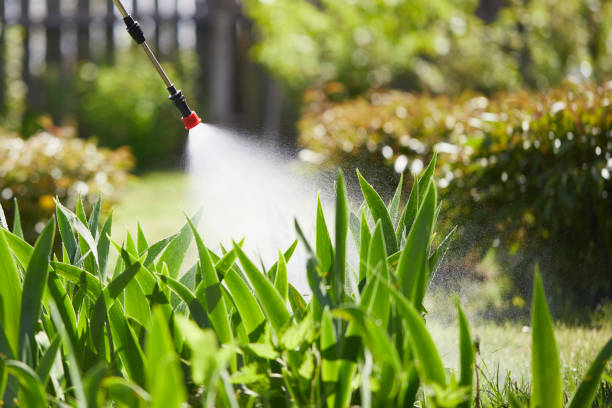 24/7 Emergency Mosquito Control experts in Asheville, NC