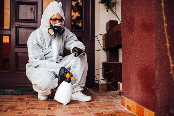 Reliable Mosquito Control contractor in Asheville, NC by Show Me Pest Control