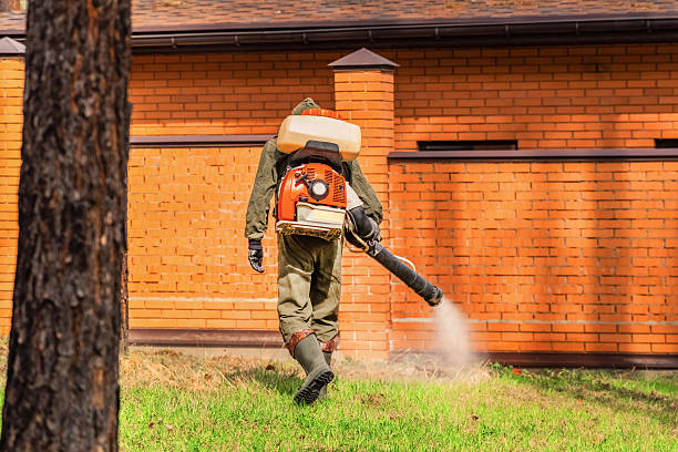 Top rated local Mosquito Control specialists in Asheville, NC